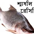 শ্মাষলি মাছ রান্নার রেসিপি জেনে নিন